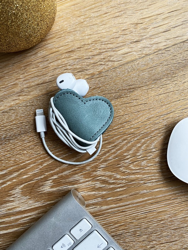 Earphone holder